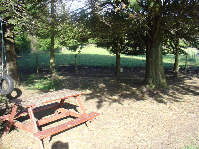 DSC04939