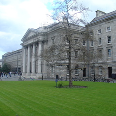 DSC04965
