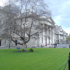 DSC04966