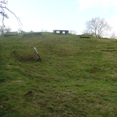 DSC04748