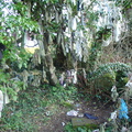 DSC04778