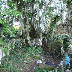 DSC04778