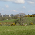 DSC04782