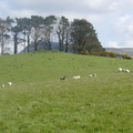 DSC04783