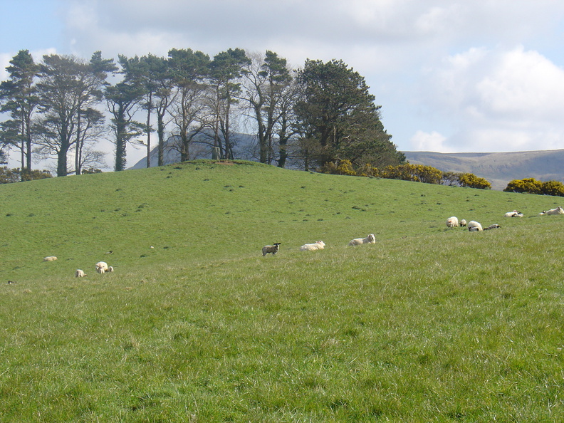 DSC04783.JPG