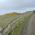 DSC04594
