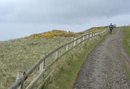 DSC04594