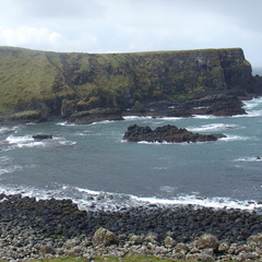 DSC04604