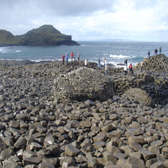 DSC04617