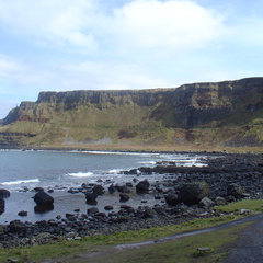DSC04624