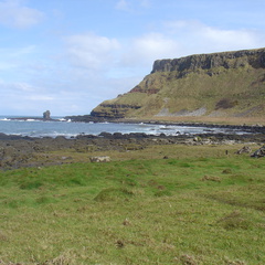 DSC04627