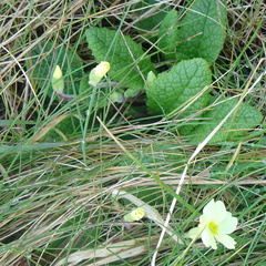 DSC04631