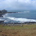 DSC04633