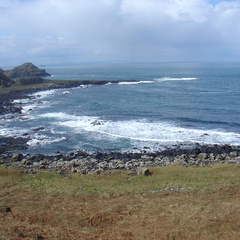 DSC04633