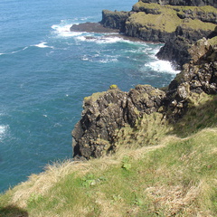 DSC04644