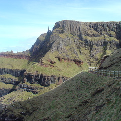 DSC04649