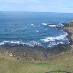 DSC04664