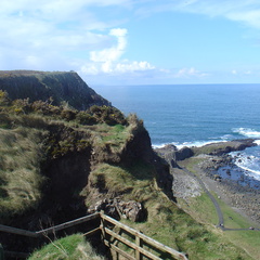 DSC04666