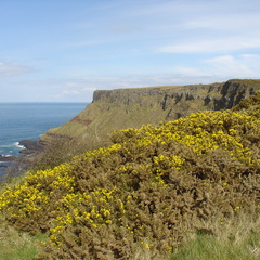 DSC04667