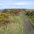 DSC04668