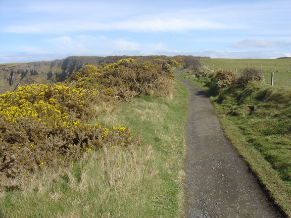DSC04668