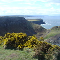 DSC04682