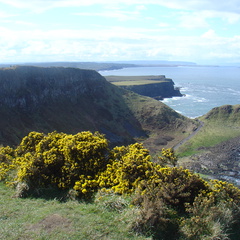 DSC04682