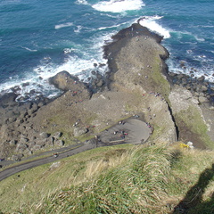 DSC04686