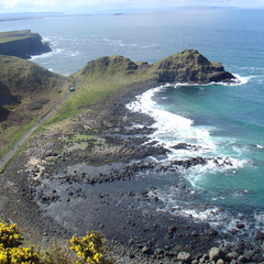 DSC04687