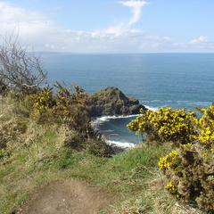 DSC04689