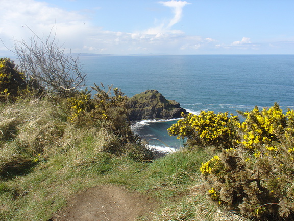 DSC04689
