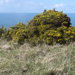 DSC04692