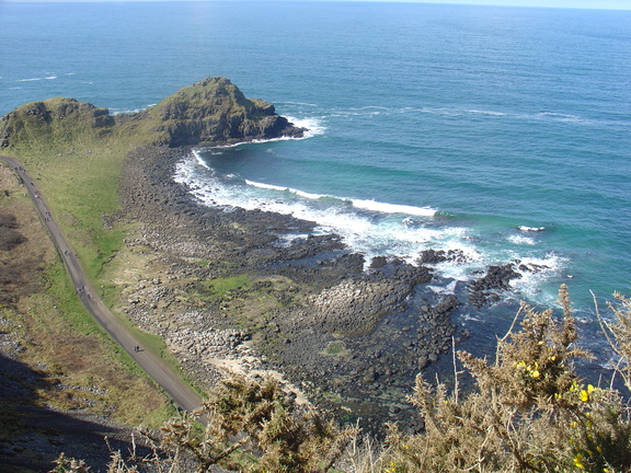 DSC04696