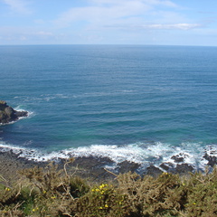 DSC04701