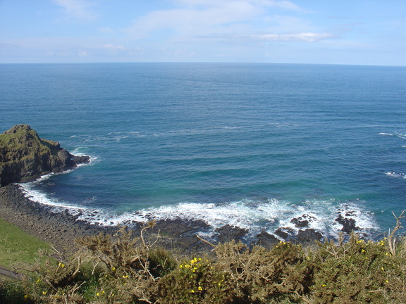 DSC04701