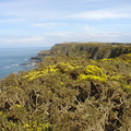DSC04702