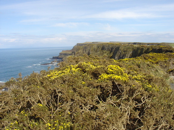 DSC04702