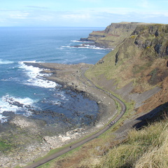 DSC04703