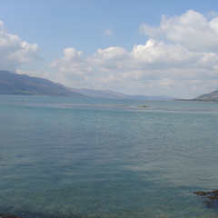 DSC04243