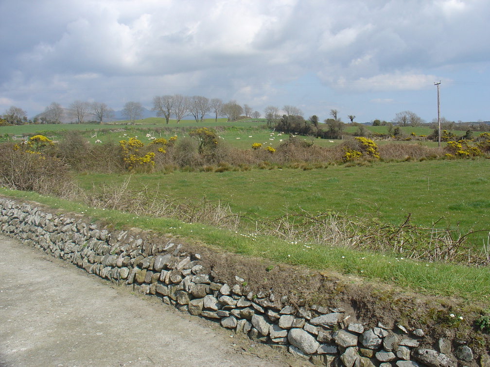 DSC04258