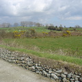 DSC04258