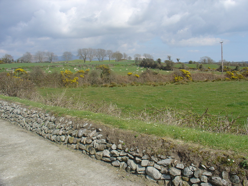 DSC04258.JPG