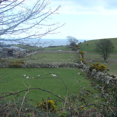 DSC04274