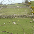 DSC04276