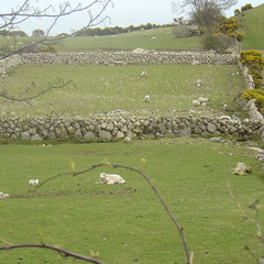 DSC04276