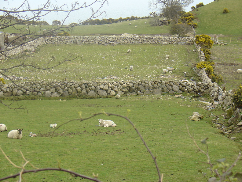 DSC04276.JPG