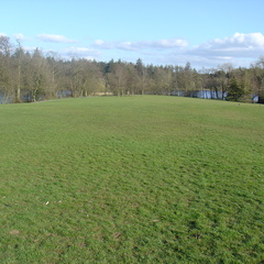 DSC04917