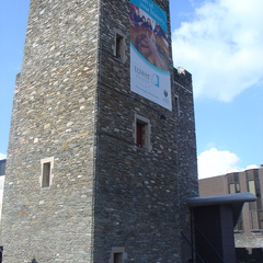 DSC04795