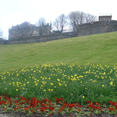 DSC04803
