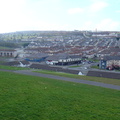DSC04823